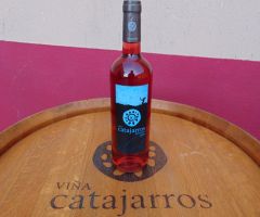 BODEGAS CATAJARROS Caja de 12 botellas Catajarros Élite 75cl AÑO 2022