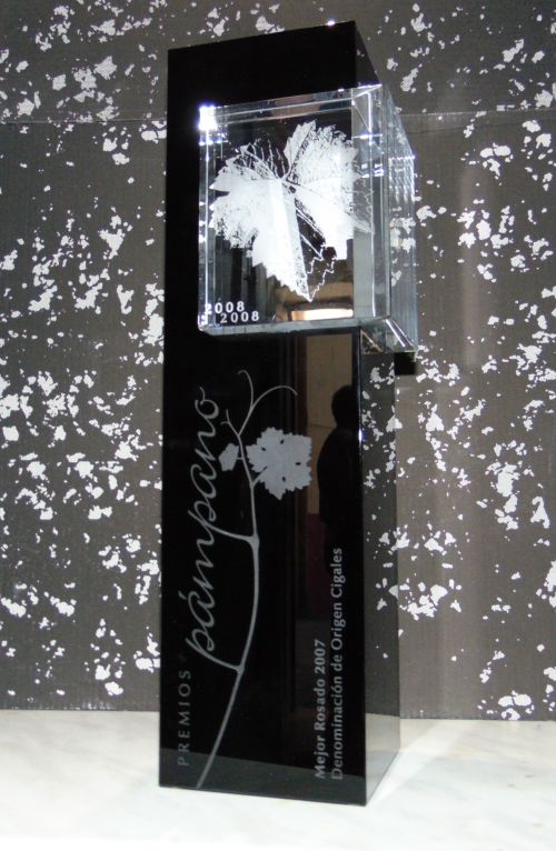 Pampano al mejor vino joven de la denominaci�n de origen Cigales 2008