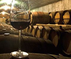 Bodegas Santa Rufina tinto cosecha Bodegas Santa Rufina tinto cosecha