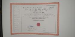 Premio encuentro con los vinos de la Denominación de Origen Cigales 2008
