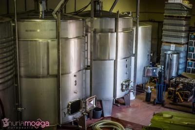 Bodega Hijos de Crescencia Merino 11 Bodega Hijos de Crescencia Merino 11