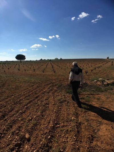 Bodega Hijos de Crescencia Merino Viñedos 06 Bodega Hijos de Crescencia Merino Viñedos 06