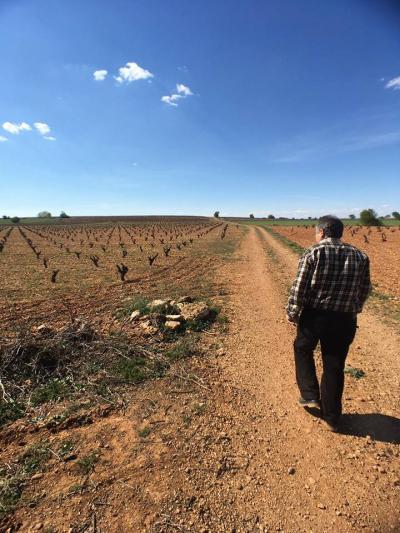 Bodega Hijos de Crescencia Merino Viñedos 07 Bodega Hijos de Crescencia Merino Viñedos 07