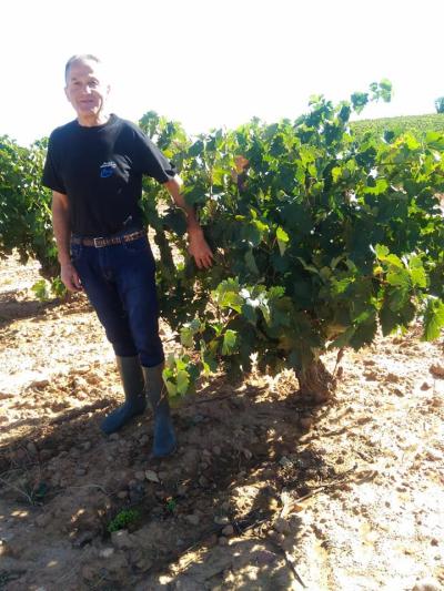 Bodega Hijos de Crescencia Merino Viñedos 15 Bodega Hijos de Crescencia Merino Viñedos 15