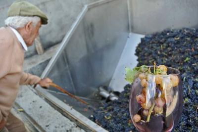 14479539 1788391918073245 3084474950821907826 n 14479539 1788391918073245 3084474950821907826 n