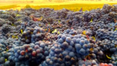 43648039 2197137450532021 5281995585719631872 n 43648039 2197137450532021 5281995585719631872 n