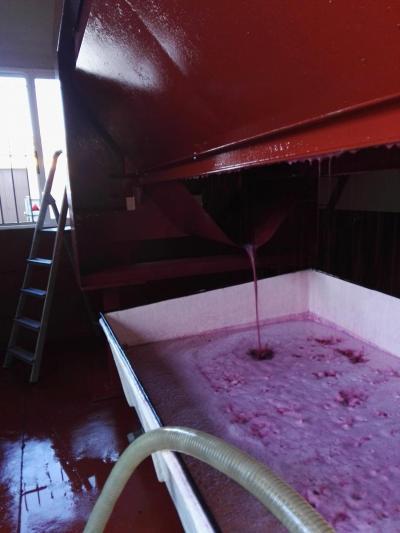 44117032 2200010850244681 6566916248674762752 o 44117032 2200010850244681 6566916248674762752 o