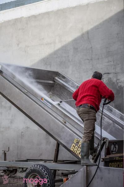 44213883 2200007813578318 3359148128983842816 n 44213883 2200007813578318 3359148128983842816 n