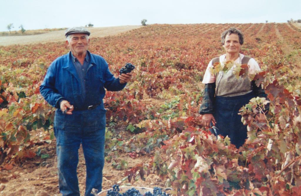 BODEGAS HC MERINO